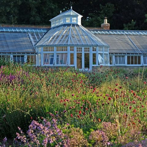 Scampston Conservatory
